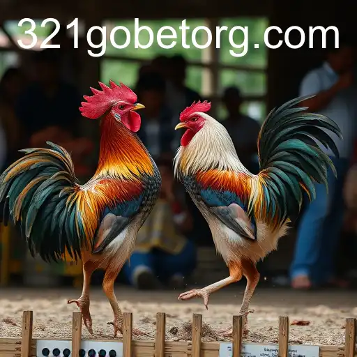 Exploring the Rising Popularity of Sabong Games in the Digital Age